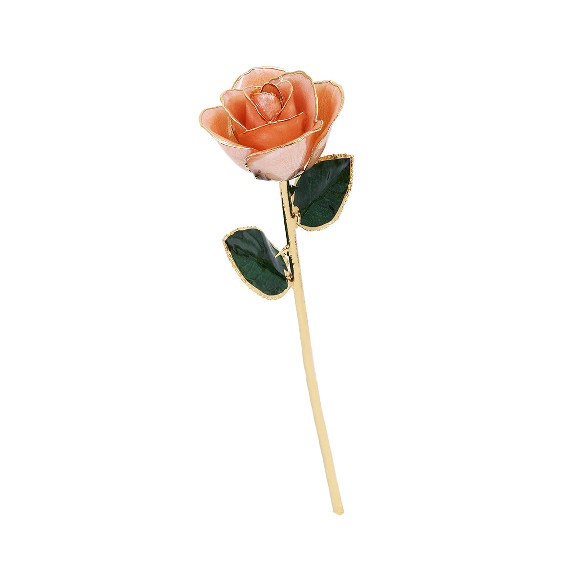 Eternal Gold Rose Keepsake