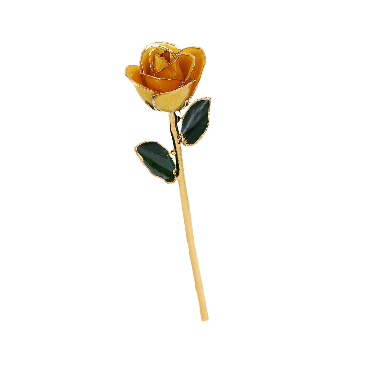 Eternal Gold Rose Keepsake